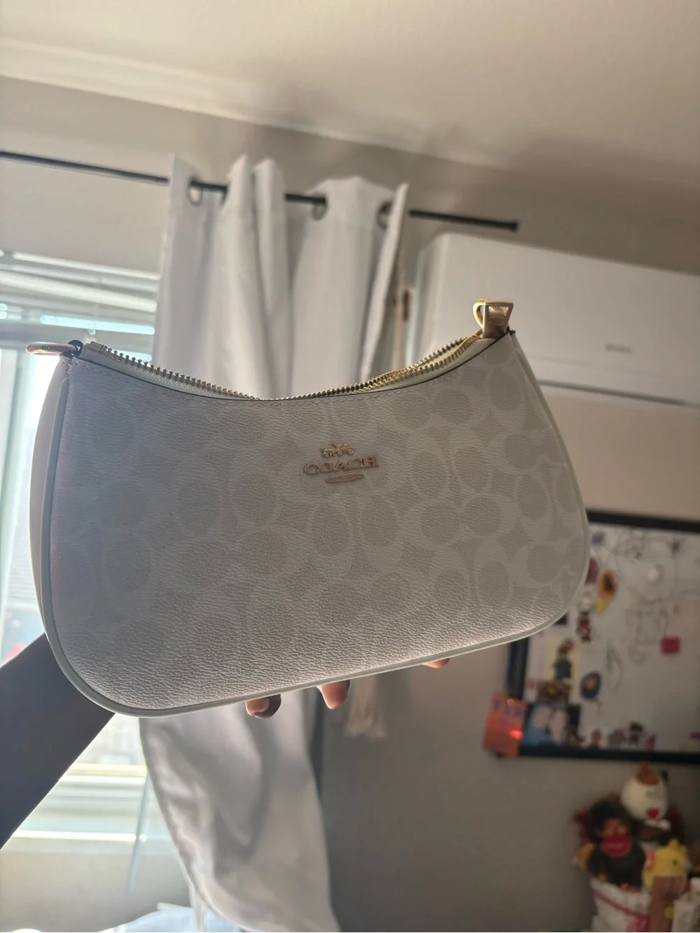 Coach Teri Shoulder Bag